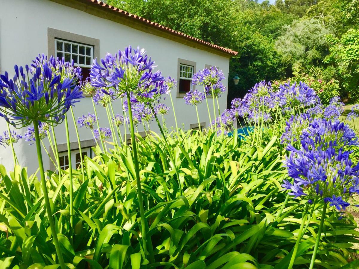 Quinta Santo Antonio Da Pedreira Facha Exterior foto